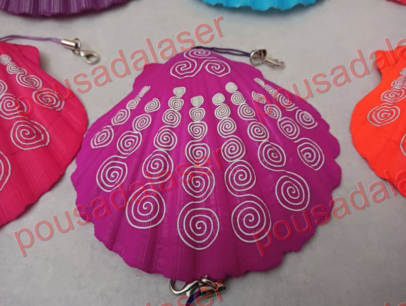 conchas peregrino